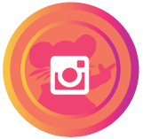 Social-media-instagram